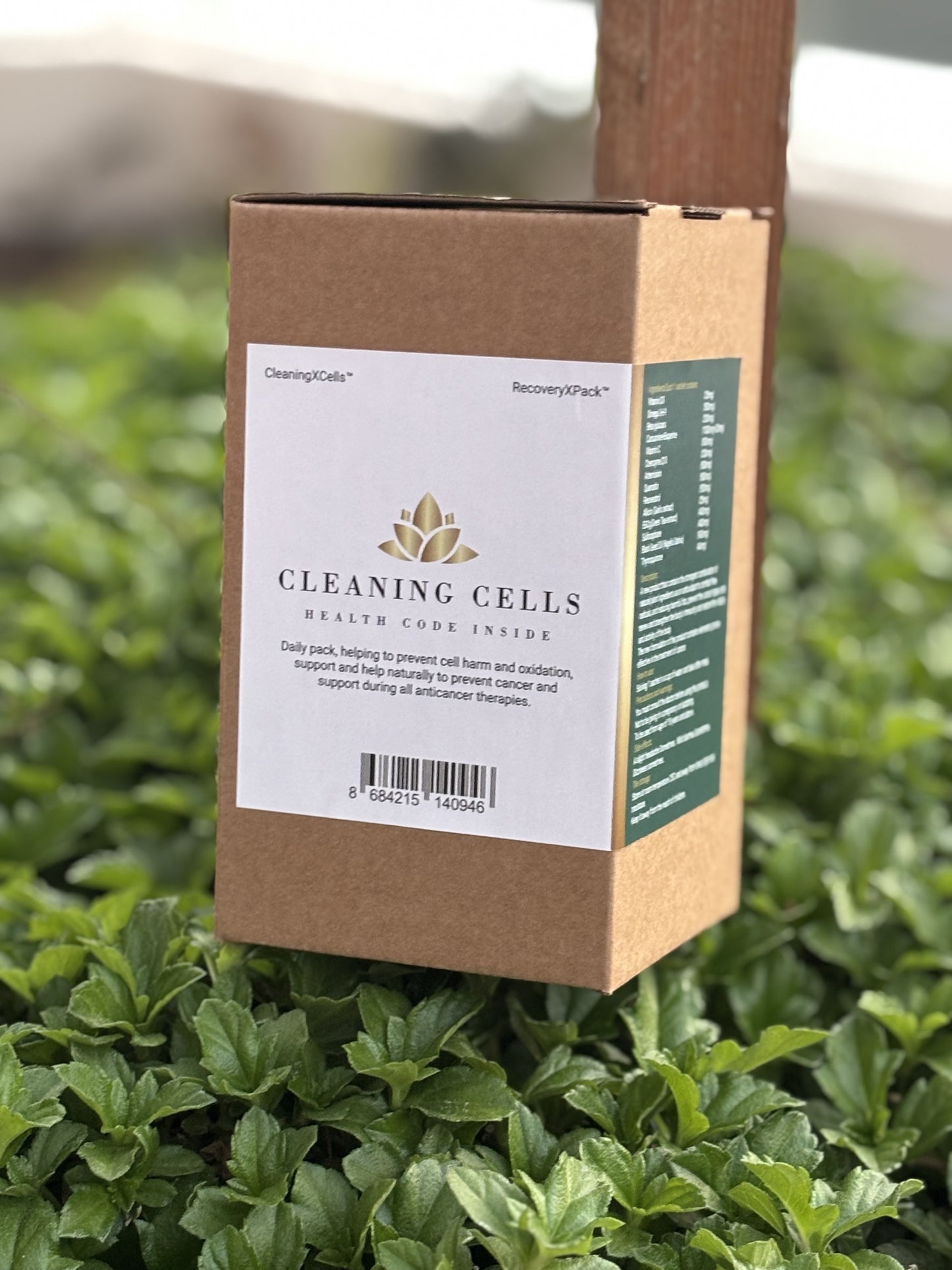 CleaningXCells